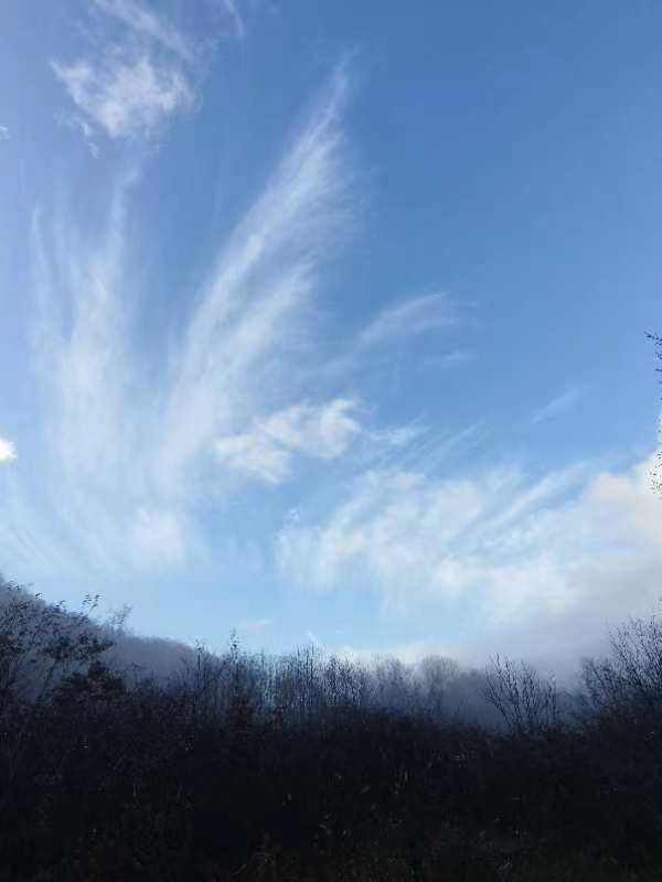 大九湖风景区